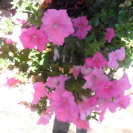 Likos מלון Grumento Nova