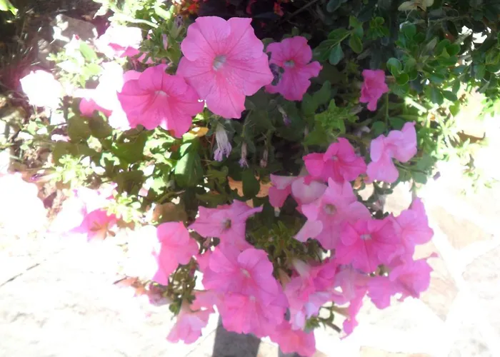 Likos מלון Grumento Nova